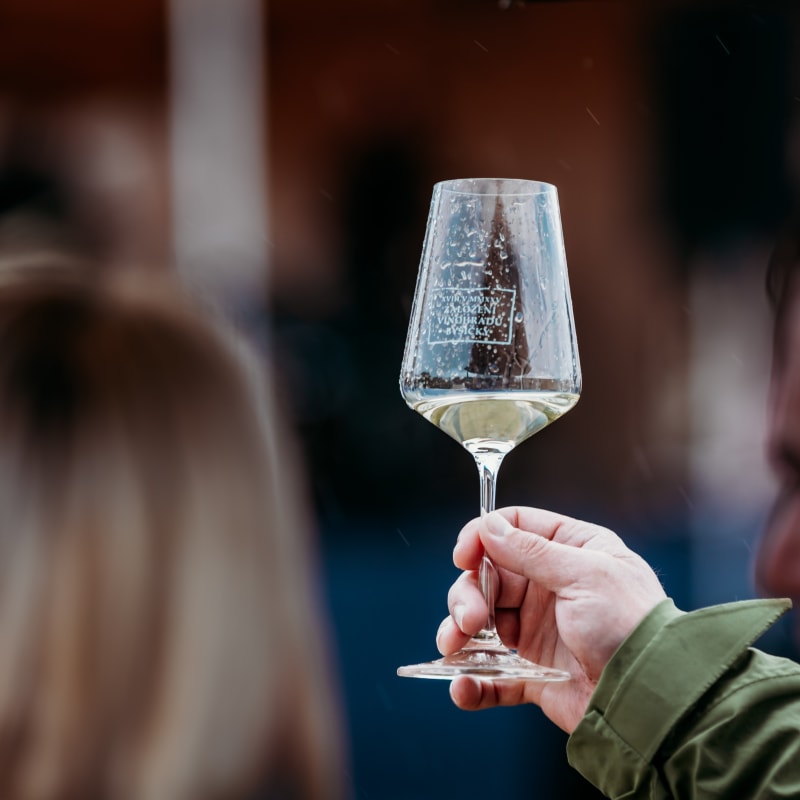 Degustace — sklenice Vinařství Byšičky